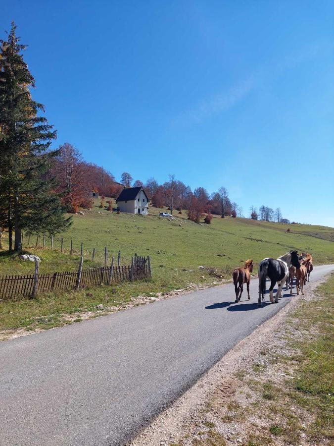 Blackberry House Zabljak Villa Esterno foto